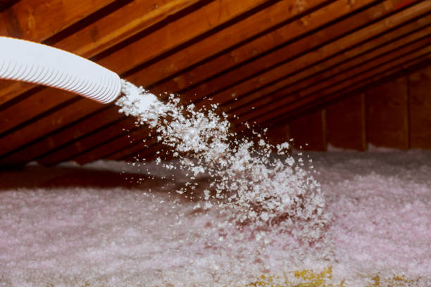 Best Residential Insulation in Findlay, OH